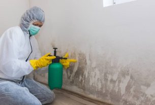 Emergency Packout A Key Step in Mold Removal